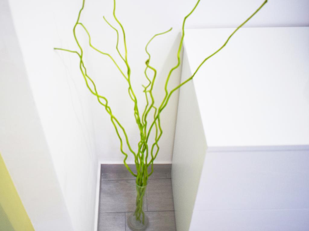 Shower Shows Marsala Exterior foto